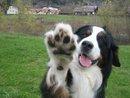 Lara Evans - charity reviews, charity ratings, best charities, best nonprofits, search nonprofits