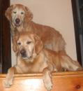 jtolles - charity reviews, charity ratings, best charities, best nonprofits, search nonprofits