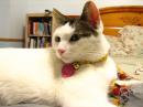 erika_h - charity reviews, charity ratings, best charities, best nonprofits, search nonprofits