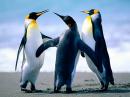 ishallnotwant11 - charity reviews, charity ratings, best charities, best nonprofits, search nonprofits