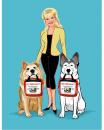 thesunnydog - charity reviews, charity ratings, best charities, best nonprofits, search nonprofits