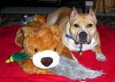 Joseph15 - charity reviews, charity ratings, best charities, best nonprofits, search nonprofits