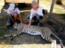 Save the Cheetah - charity reviews, charity ratings, best charities, best nonprofits, search nonprofits