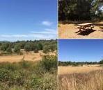 SebastopolParks - charity reviews, charity ratings, best charities, best nonprofits, search nonprofits