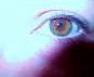 arloeg - charity reviews, charity ratings, best charities, best nonprofits, search nonprofits