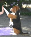 Kathy K - charity reviews, charity ratings, best charities, best nonprofits, search nonprofits