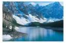 Jessica Montalvo Schwarz - charity reviews, charity ratings, best charities, best nonprofits, search nonprofits