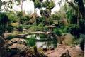 Lina Azim - charity reviews, charity ratings, best charities, best nonprofits, search nonprofits
