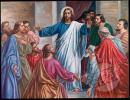 Pat_15 - charity reviews, charity ratings, best charities, best nonprofits, search nonprofits
