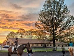 Pegasus Therapeutic Riding Academy - charity reviews, charity ratings, best charities, best nonprofits, search nonprofits