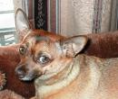 consavery - charity reviews, charity ratings, best charities, best nonprofits, search nonprofits