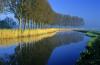 jody-uyanik - charity reviews, charity ratings, best charities, best nonprofits, search nonprofits
