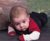 wanderers24 - charity reviews, charity ratings, best charities, best nonprofits, search nonprofits