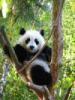 michelleohair - charity reviews, charity ratings, best charities, best nonprofits, search nonprofits