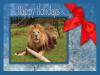 ucanbethedifference - charity reviews, charity ratings, best charities, best nonprofits, search nonprofits
