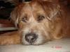2swigs - charity reviews, charity ratings, best charities, best nonprofits, search nonprofits