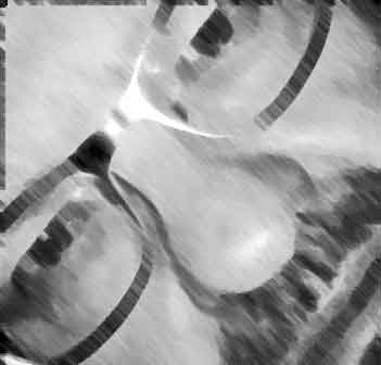 Rick L. - charity reviews, charity ratings, best charities, best nonprofits, search nonprofits