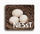 NESsT - charity reviews, charity ratings, best charities, best nonprofits, search nonprofits