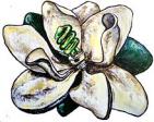 GREEN LIGHT NEW ORLEANS - charity reviews, charity ratings, best charities, best nonprofits, search nonprofits
