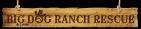 BIG DOG RANCH RESCUE INC - charity reviews, charity ratings, best charities, best nonprofits, search nonprofits