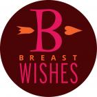 Breast Wishes Fund - charity reviews, charity ratings, best charities, best nonprofits, search nonprofits
