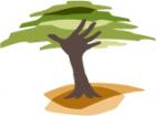 The Eden Projects                                  - charity reviews, charity ratings, best charities, best nonprofits, search nonprofits