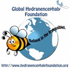 Global Hydranencephaly Foundation - charity reviews, charity ratings, best charities, best nonprofits, search nonprofits