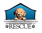 Golden Retriever Club of Greater Los Angeles Rescue - charity reviews, charity ratings, best charities, best nonprofits, search nonprofits