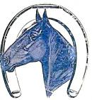 CHESTER HISTORICAL SOCIETY - charity reviews, charity ratings, best charities, best nonprofits, search nonprofits