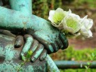 ALLIANCE OF HOPE FOR SUICIDE SURVIVORS - charity reviews, charity ratings, best charities, best nonprofits, search nonprofits