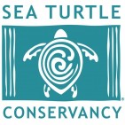 Sea Turtle Conservancy - charity reviews, charity ratings, best charities, best nonprofits, search nonprofits