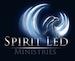 SPIRIT LED MINISTRIES - charity reviews, charity ratings, best charities, best nonprofits, search nonprofits