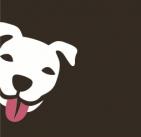 PIT BULL PROJECT - charity reviews, charity ratings, best charities, best nonprofits, search nonprofits
