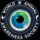 WORLD ANIMAL AWARENESS SOCIETY - charity reviews, charity ratings, best charities, best nonprofits, search nonprofits