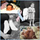 CHERUBS - The Association of Congenital Diaphragmatic Hernia Research - charity reviews, charity ratings, best charities, best nonprofits, search nonprofits