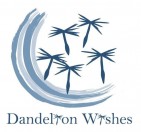 Dandelion Wishes, Inc - charity reviews, charity ratings, best charities, best nonprofits, search nonprofits