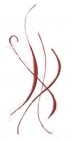 HARTFEL FOUNDATION - charity reviews, charity ratings, best charities, best nonprofits, search nonprofits