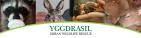 YGGDRASIL URBAN WILDLIFE RESCUE - charity reviews, charity ratings, best charities, best nonprofits, search nonprofits