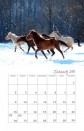 Latest Photo by Lost Creek Ranch Camp Confidence
