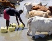 Latest Photo by Global Water