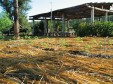 Latest Photo by ECHO, Inc.