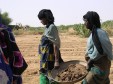 Latest Photo by RAIN FOR THE SAHEL AND SAHARA INC