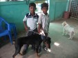 Latest Photo by SQ FOUNDATION