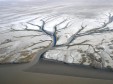 Latest Photo by ECOFLIGHT