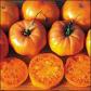 Latest Photo by Seed Savers Exchange, Inc.