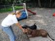 Latest Photo by Pawsitive Perspectives Assistance Dogs (PawPADs)