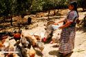 Latest Photo by International Development Exchange (IDEX)