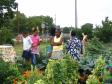 Latest Photo by CENTER FOR RESILIENT CITIES                                           