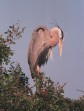 Latest Photo by Poudre River Trail Corridor, Inc.