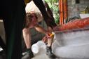 Latest Photo by European Disaster Volunteers (EDV)